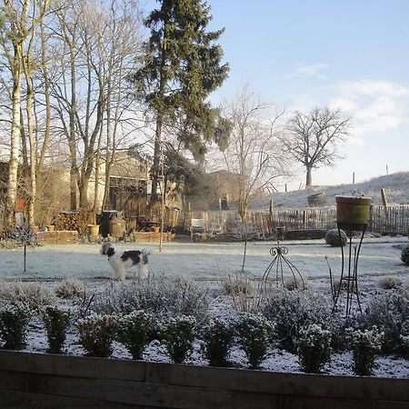 B&B Au Pont D'Arcole Beauvechain Dış mekan fotoğraf