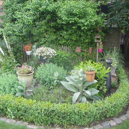 B&B Au Pont D'Arcole Beauvechain Dış mekan fotoğraf