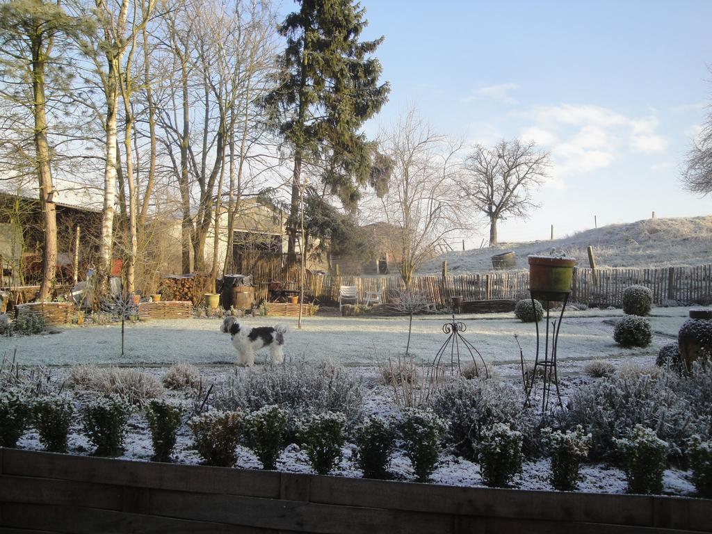 B&B Au Pont D'Arcole Beauvechain Dış mekan fotoğraf